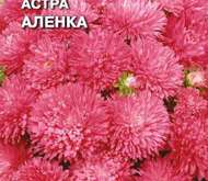 Семена цветов Астра «Алёнка» королевская