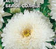 Семена цветов Астра «Белое солнце»