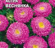 Семена цветов Астра «Веснянка»