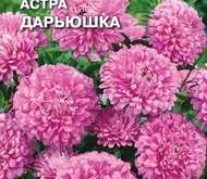 Семена цветов Астра «Дарьюшка»