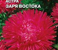 Семена цветов Астра «Заря Востока»