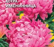 Семена цветов Астра «Именинница»