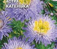 Семена цветов Астра «Катенька»