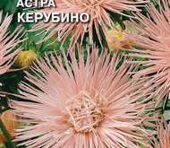 Семена цветов Астра «Керубино»