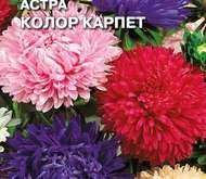 Семена цветов Астра «Колор карпет» королевская