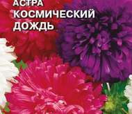 Семена цветов Астра «Космический дождь»