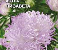 Семена цветов Астра «Лизавета»