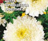 Семена цветов Астра «Принцесса Офелия»