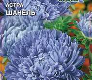 Семена цветов Астра «Шанель»