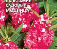 Семена цветов бальзамин «Модница»
