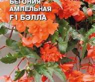 Семена цветов Бегония «Белла» F1 (ампельная)