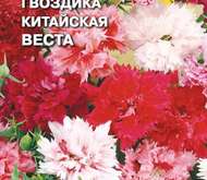 Семена цветов Гвоздика «Веста китайская» (смесь)