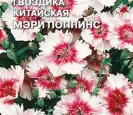 Семена цветов Гвоздика «Мэри Поппинс» китайская