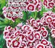 Семена цветов Гвоздика «Холборн Глория» турецкая