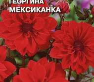 Семена цветов георгина «Мексиканка»