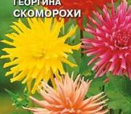 Семена цветов георгина «Скоморохи»