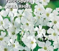 Семена цветов Гипсофила «Изваяние»