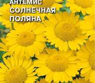Семена цветов Антемис «Солнечная поляна»