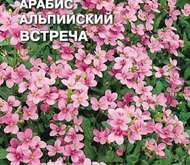 Семена цветов Арабис «Встреча» альпийский (розовый)