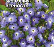 Семена цветов Броваллия «Верность»