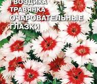 Семена цветов ГВОЗДИКА «ОЧАРОВАТЕЛЬНЫЕ ГЛАЗКИ» (ТРАВЯНКА)