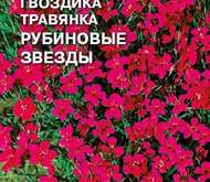 Семена цветов ГВОЗДИКА «РУБИНОВЫЕ ЗВЕЗДЫ» (ТРАВЯНКА)