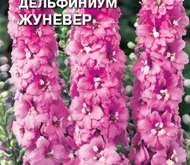 Семена цветов ДЕЛЬФИНИУМ «ЖУНЕВЕР»