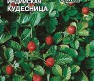 Семена цветов ЗЕМЛЯНИКА «ДЮШИНЕЯ КУДЕСНИЦА»  (индийская декор.)