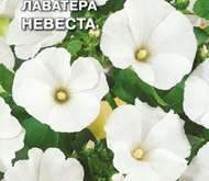 Семена цветов Лаватера «Невеста»