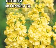 Семена цветов Левкой «Жоржетта»