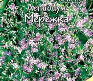 Семена цветов Лепидиум «Мережка»