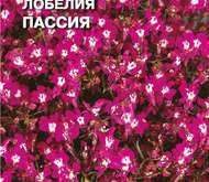 Семена цветов Лобелия «Пассия»