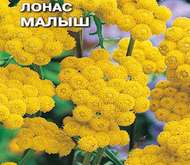 Семена цветов Лонас «Малыш»