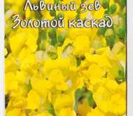 Семена цветов Львиный зев «Золотой Каскад»