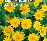 Семена цветов Меламподиум «Меланья»