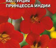 Семена цветов Настурция «Принцесса Индии»