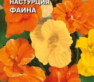 Семена цветов Настурция «Фаина»