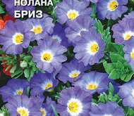 Семена цветов Нолана «Бриз»