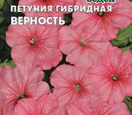 Семена цветов Петуния «Верность» гибридная