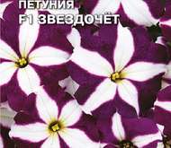Семена цветов Петуния «Звездочет» F1 каскадная