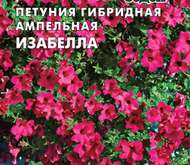 Семена цветов Петуния «Изабелла» гибридная ампельная