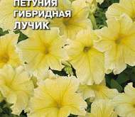 Семена цветов Петуния «Лучик» гибридная