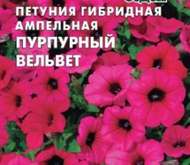 Семена цветов Петуния «Пурпурный вельвет» гибридная ампельная