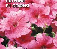 Семена цветов Петуния «София» F1