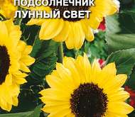 Семена цветов Подсолнечник «Лунный свет»
