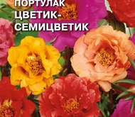 Семена цветов Портулак «Цветик-семицветик»