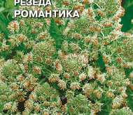 Семена цветов Резеда «Романтика» душистая