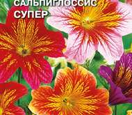 Семена цветов Сальпиглоссис «Супер» выемчатый (смесь)