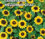 Семена цветов Санвиталия «Медовый спас» распростертая