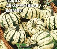 Семена цветов – Тыква «Бемби» (декоративная)